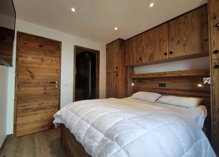 Superbe Au Pied Des Pistes Avec Wifi - 6 Pers. - Fr-1-181-2856 * La Plagne-Tarentaise